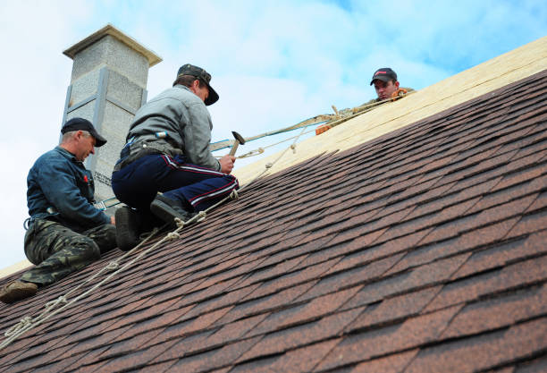 Best Shingle Roofing Installation  in Bard College, NY